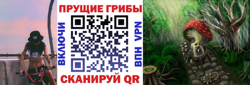 Галлюциногенные грибы ЛСД Грозный