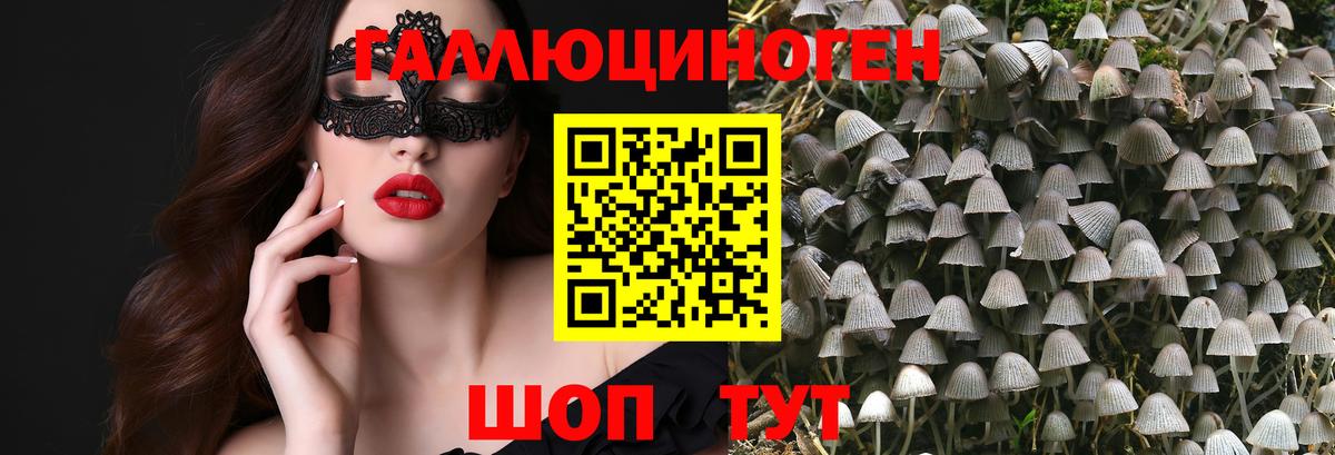наркотики  Вход с VPN  Грозный  Галлюциногенные грибы Cubensis  Псилоцибиновые грибы GOLDEN TEACHER 
